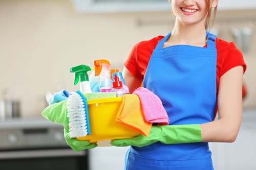 Professional domestic cleaning in a Ruislip home