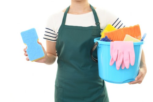 Carpet cleaning service introduction for Ruislip