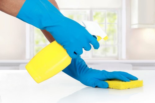 Carpet cleaning equipment used by a carpet cleaner in Ruislip