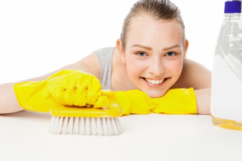 Professional cleaners in Ruislip providing home cleaning services