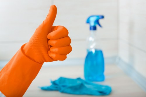 Clean and refreshed carpet in a bright room