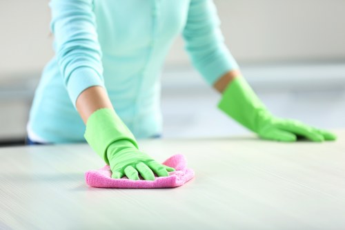 Professional carpet cleaning equipment and service setup