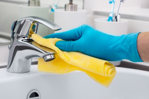 Close-up of professional carpet cleaning process