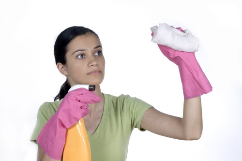 Domestic cleaner in Ruislip maintaining a tidy family home