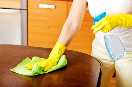 Professional carpet cleaning equipment in use